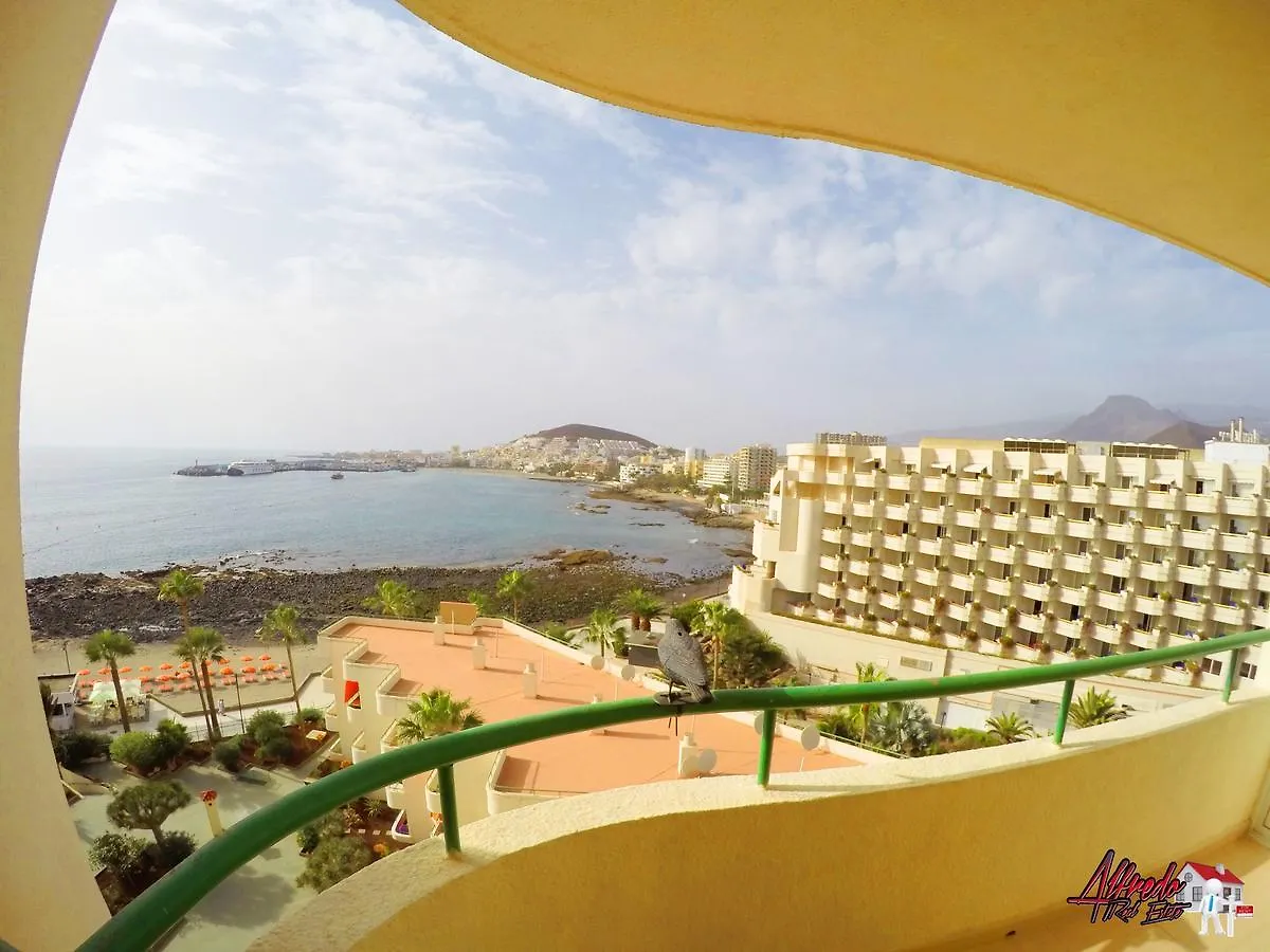Los Cristianos Sea View Apartment  Los Cristianos (Tenerife)